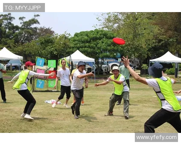 飞盘运动的魅力与挑战深圳飞盘队耐力训练的深度探讨